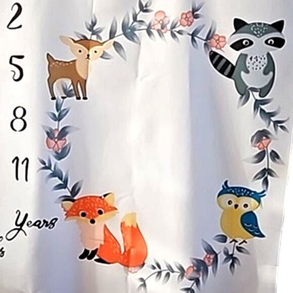 12 Monthly Baby Milestone Photography Blanket - One Size (NWOT) - Picture 3 of 5